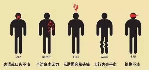 为什么脑卒中会发病